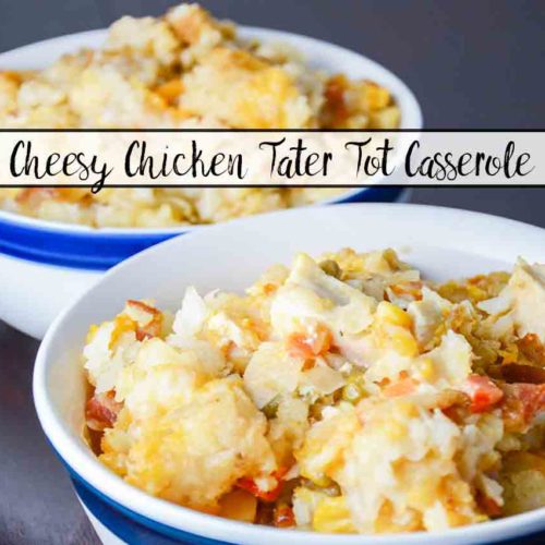 https://www.thehousewifemodern.com/wp-content/uploads/2018/08/Cheesy-Chicken-Tater-Tot_small-title-500x500.jpg